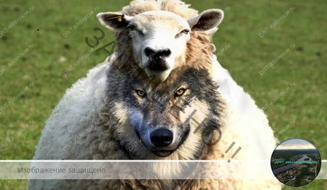 blog featured image